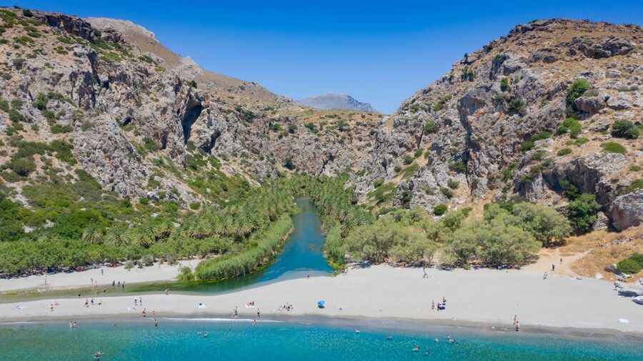 From Chania: Preveli Palm Beach Day Tour - Two and a half hours at Preveli Palm Forest