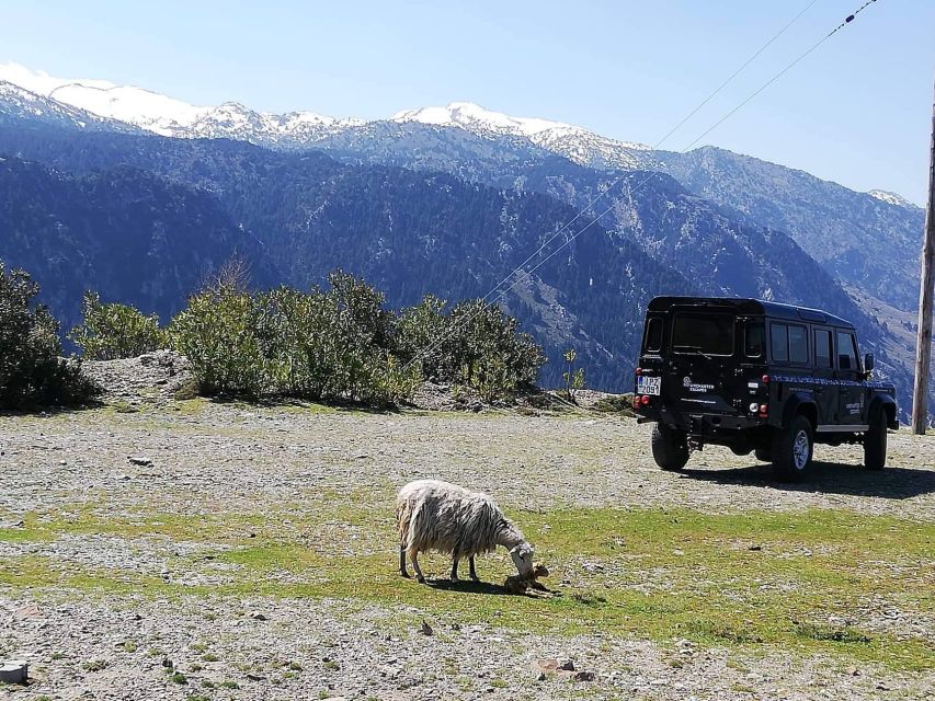 From Chania: White Mountains Land Rover Safari - The rough track to 1,350 meters