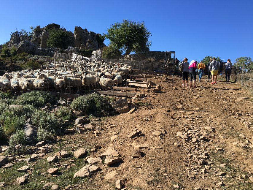 From Chania: White Mountains Land Rover Safari - Who should book this mountain day