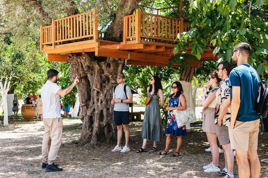 From Chania: Wine and Olive Oil Tasting Tour with Snacks - From Chania to the Kissamos hills