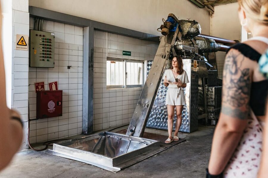 From Chania: Wine and Olive Oil Tasting Tour with Snacks - The second winery and Cretan snacks