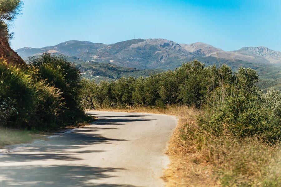 From Chania: Wine and Olive Oil Tasting Tour with Snacks - Should you book this Chania wine tour?