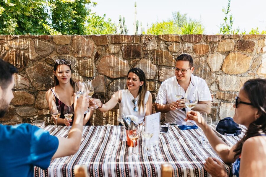 From Chania: Wine and Olive Oil Tasting Tour with Snacks - First winery: local grapes and modern Cretan wine
