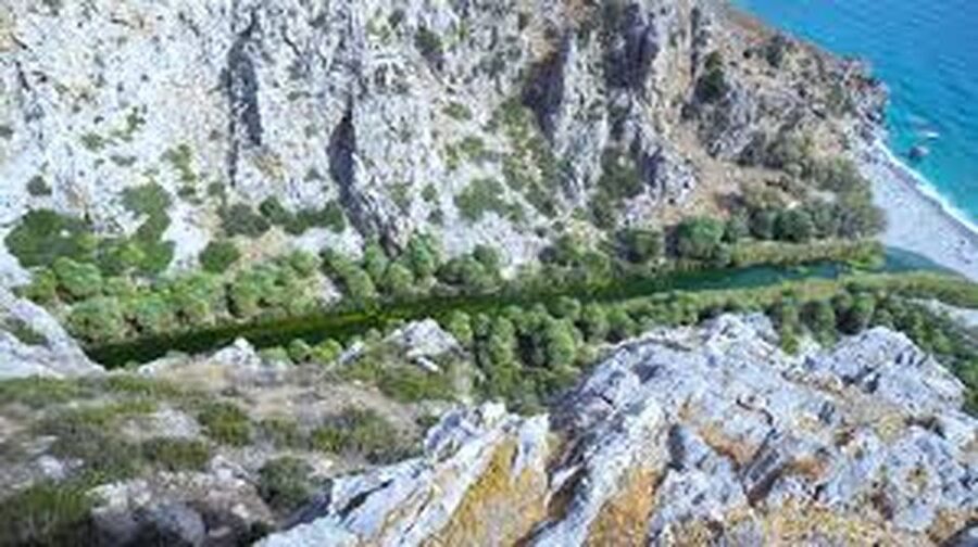From Herakleion: Day Trip to Preveli Beach and Kourtaliotiko - Four hours to choose your own Preveli day