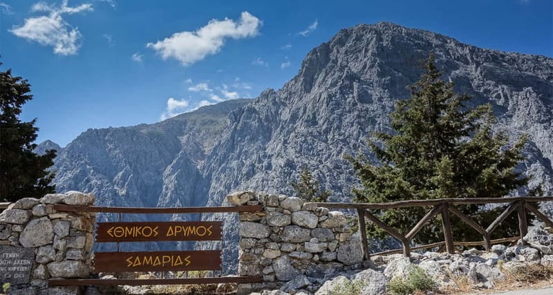 From Heraklion,Agia Pelagia,Malia: Samaria Gorge Guided Trip - Who should book this hike?