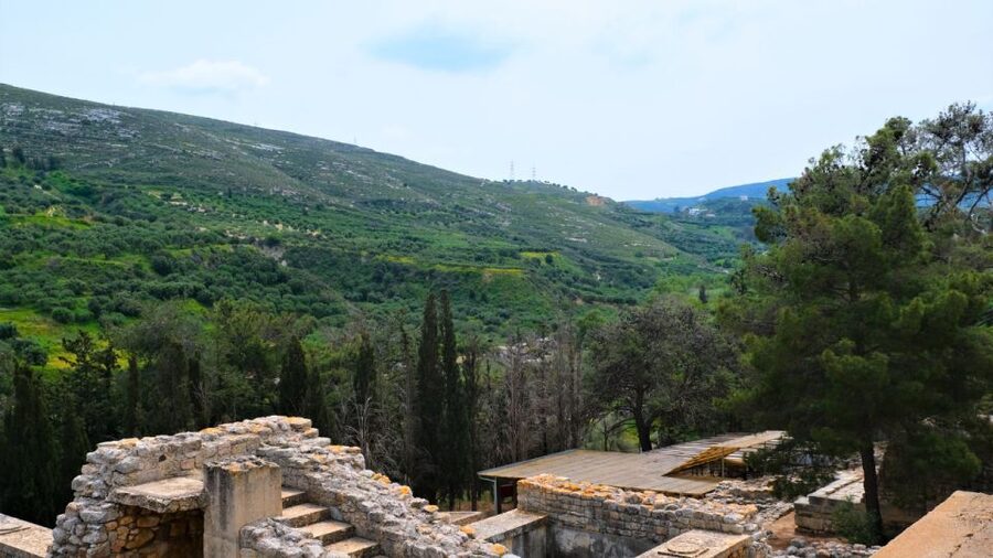 From Heraklion: Historical Center City Tour & Knossos Palace - Who should book this day trip