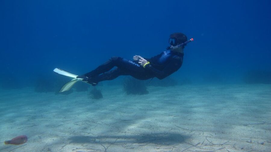 From Kos: Pserimos Island Snorkeling Cruise by Diving Boat - Starting at Kos Harbour around 8:15