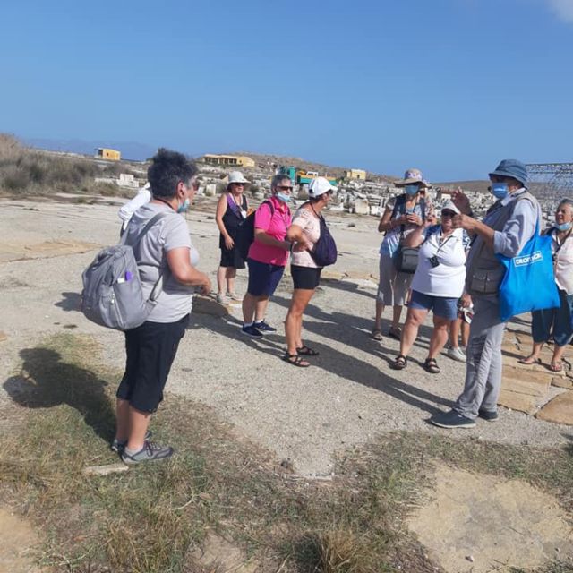 From Mykonos: Ancient Delos Tour - Price, extra fees, and overall value