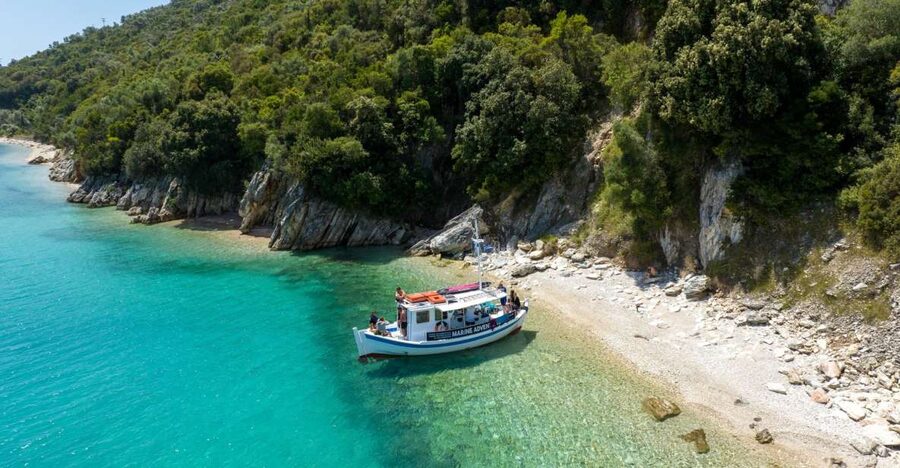 From Nidri: Marine Wildlife Cruise with Lunch and Swim Stops - Who should book this cruise?