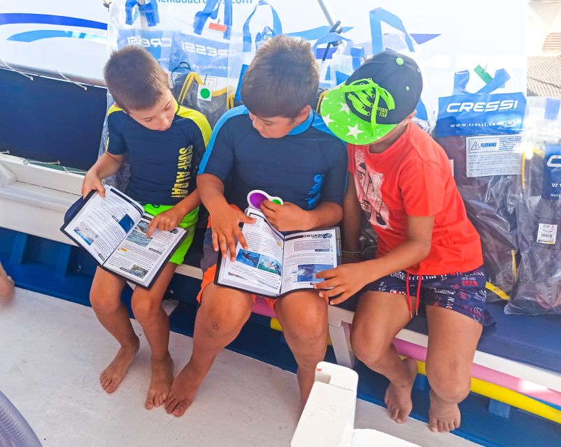 From Nidri: Marine Wildlife Cruise with Lunch and Swim Stops - Meganisi and the Vathy break