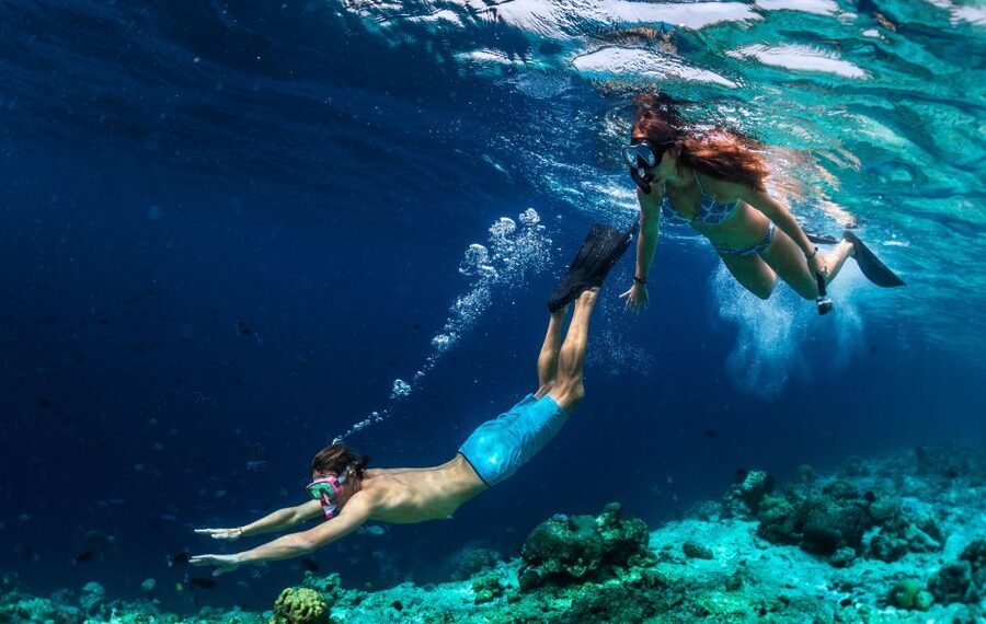 From Nidri: Marine Wildlife Cruise with Lunch and Swim Stops - The crew and the tone onboard