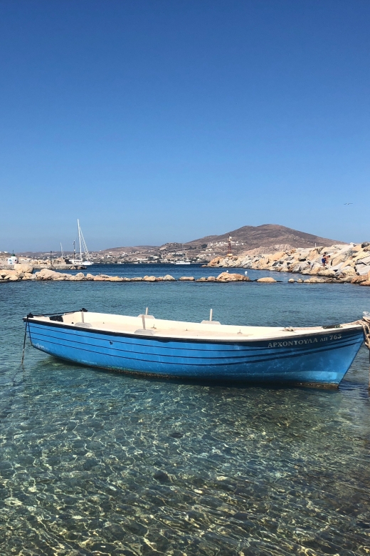 From Paros: Mykonos Full-Day Trip by Catamaran - Is $79 good value?