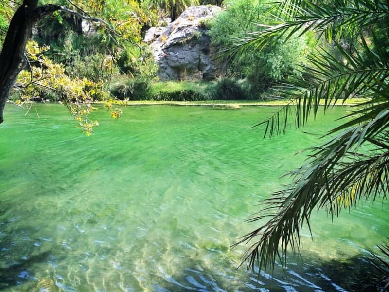 From Rethymno/Chania: Day Trip to Preveli Palm Beach - What to bring for Preveli and the gorge