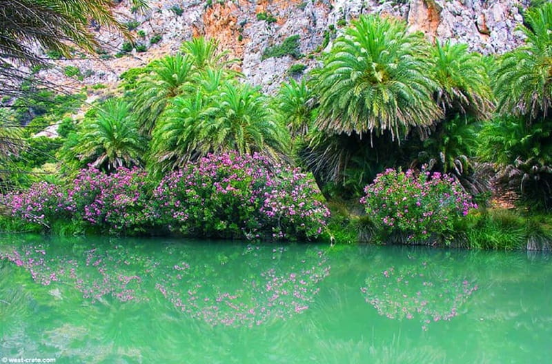 From Rethymno/Chania: Day Trip to Preveli Palm Beach - Kourtaliotiko Gorge and the walk beside the water