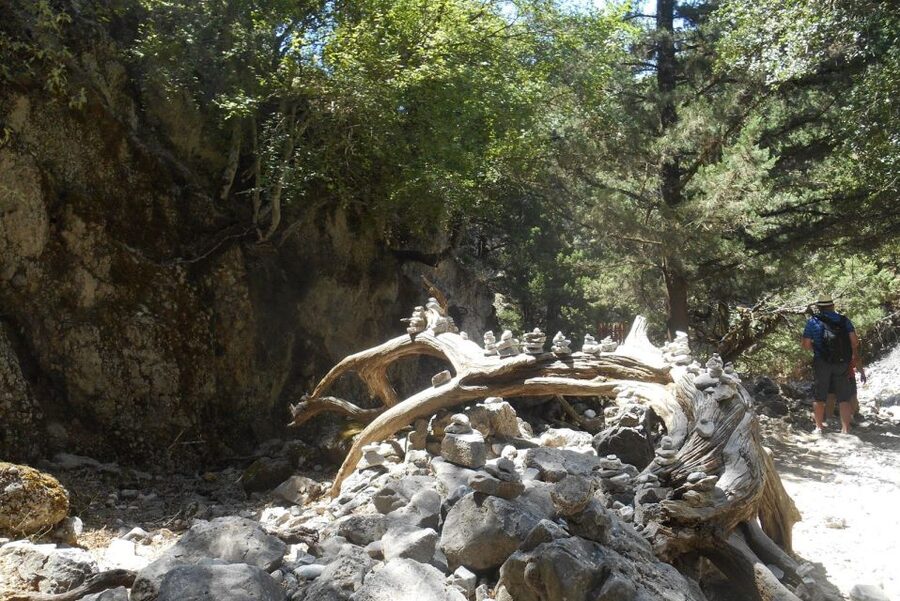 From Rethymno/Chania: Imbros Gorge Hike - Key points to know before booking