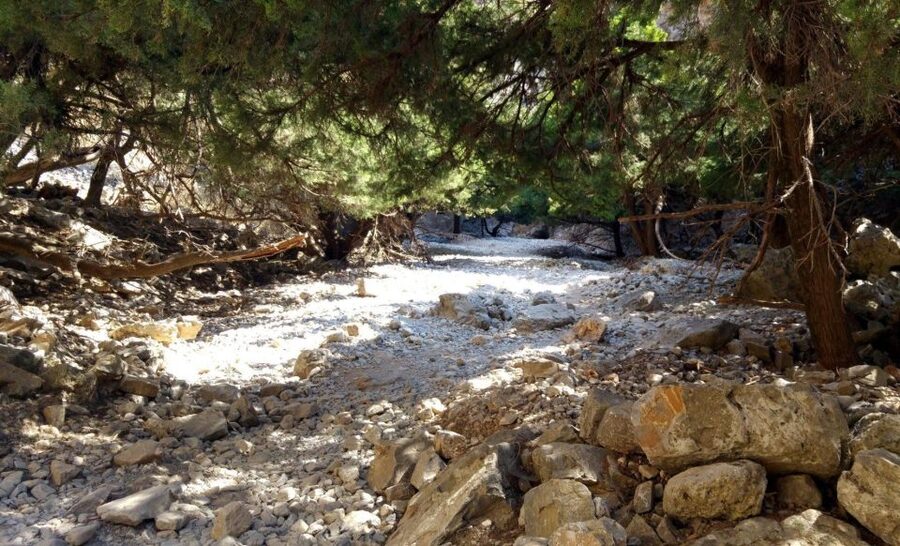From Rethymno/Chania: Imbros Gorge Hike - Walking into the White Mountains