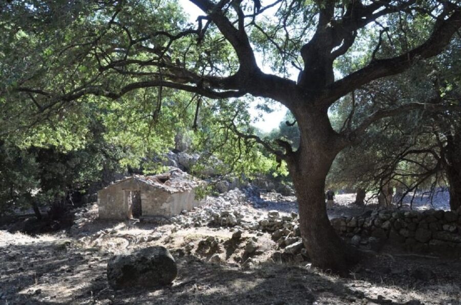 From Rethymno/Chania: Imbros Gorge Hike - What to pack for the 2.5-hour descent