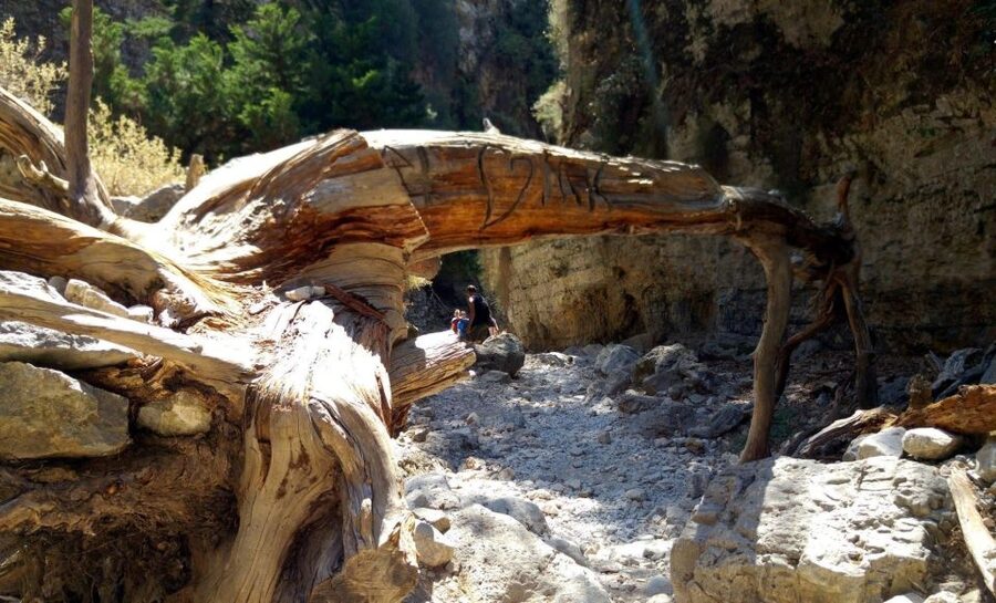 From Rethymno/Chania: Imbros Gorge Hike - What the $30 price really covers