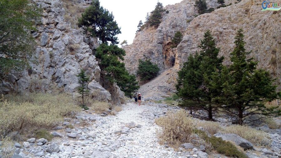 From Rethymno: Imbros Gorge & Libyan Guided Sea Tour - Practical preparation for a smoother day