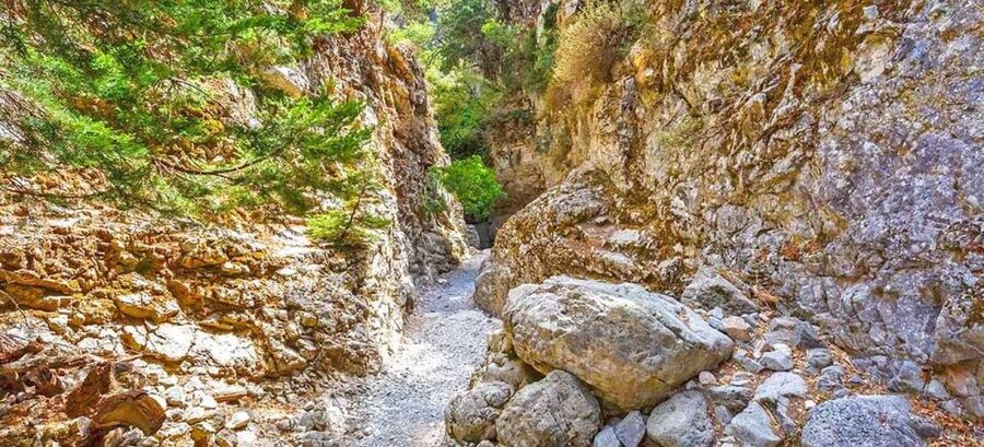 From Rethymno: Imbros Gorge & Libyan Guided Sea Tour - Why Imbros Gorge makes a good Crete day trip