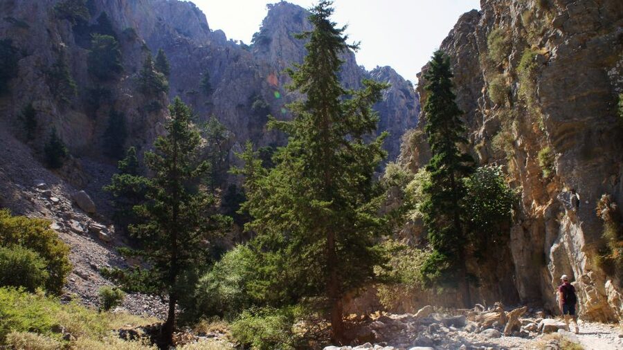 From Rethymno: Imbros Gorge & Libyan Guided Sea Tour - Traditional lunch on the south coast