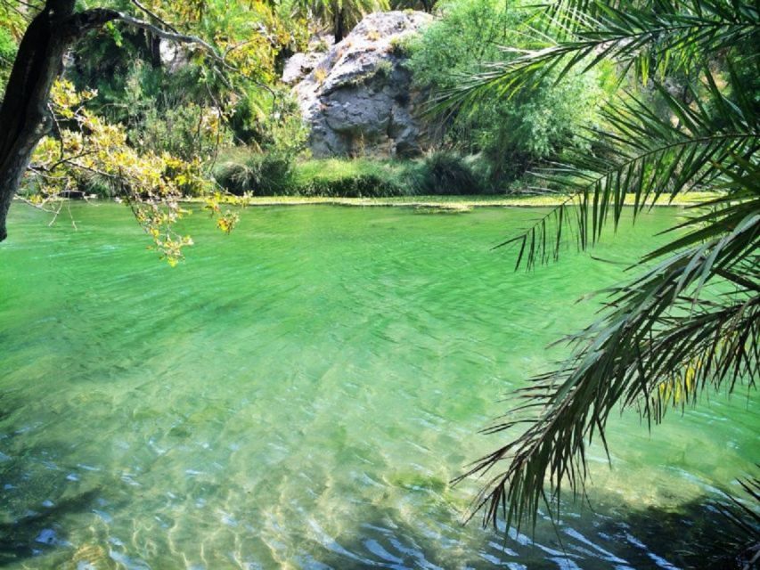 From Rethymno: Preveli Palm Beach and Kourtaliotiko Day Trip - The coach ride is practical, but the day is long