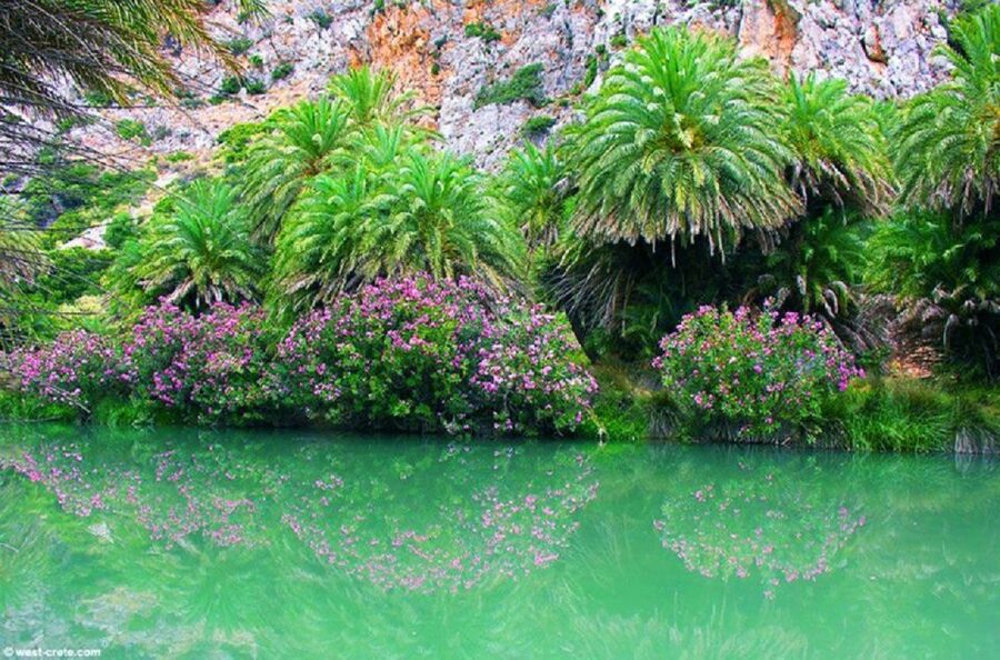 From Rethymno: Preveli Palm Beach and Kourtaliotiko Day Trip - Who should book this day trip