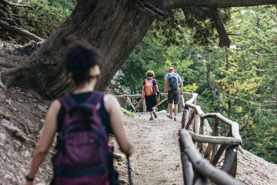From Rethymno: Samaria Gorge Full-Day Trek, Pickup & Guide - What the €37 price really covers