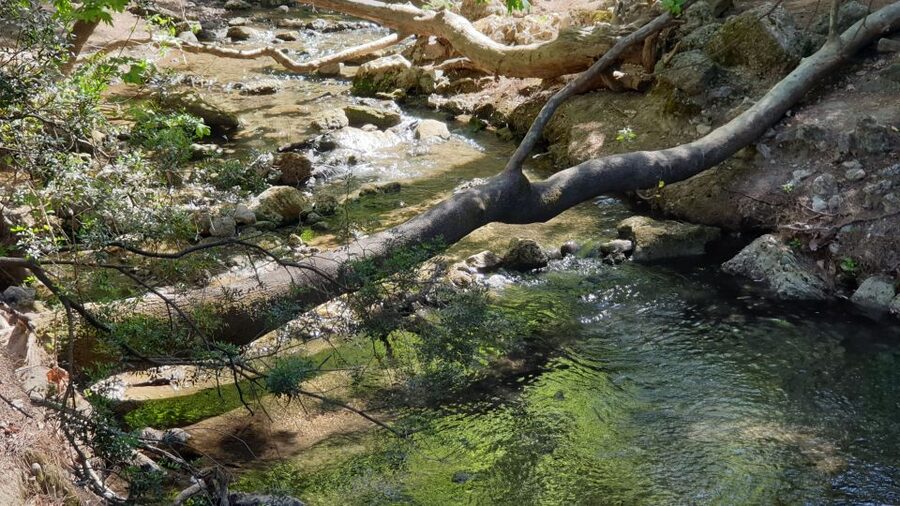 From Rhodes: Lindos and 7 Springs Valley Bus Tour - Seven Springs: forest, water, and the narrow tunnel
