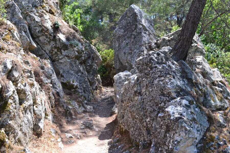 From Rhodes: Lindos and 7 Springs Valley Bus Tour - What the $31 price really covers