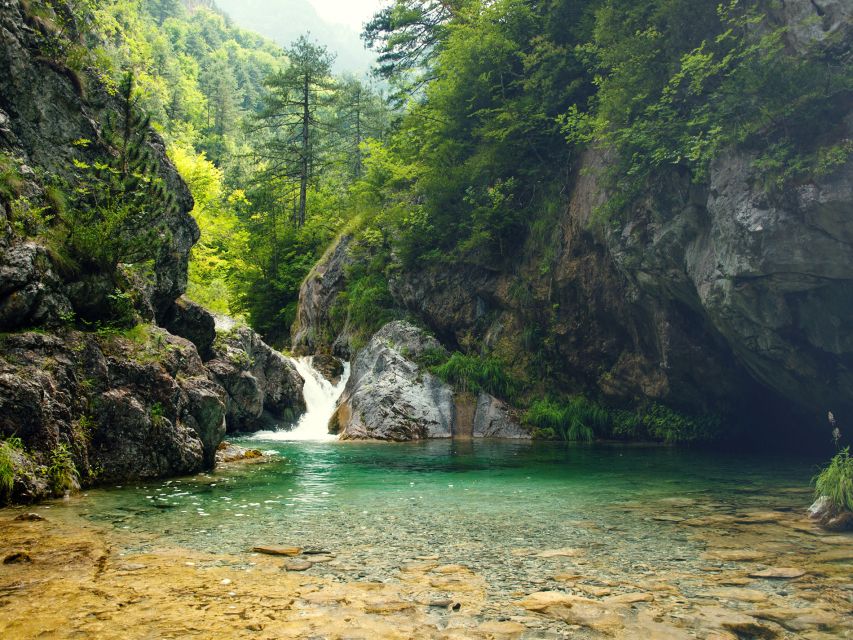 From Thessaloniki: Day Trip to Dion and Mount Olympus Park - Who should book this outing