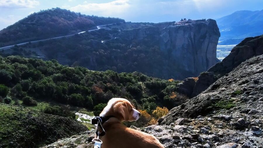From Thessaloniki: Meteora Small Group Day Trip - The first monastery: Great Meteoron