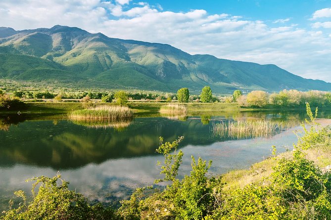 From Thessaloniki: Private Day Trip to Kerkini Lake - Lithotopos Dam and the first look at the lake