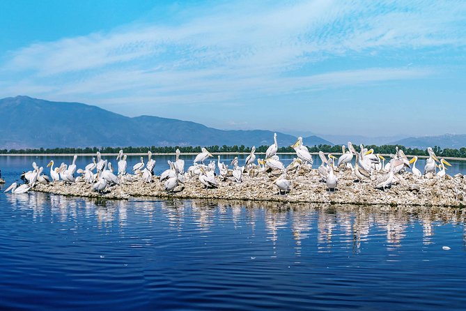 From Thessaloniki: Private Day Trip to Kerkini Lake - Coffee, buffalo, and a closer look at rural Macedonia