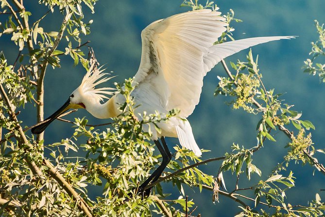 From Thessaloniki: Private Day Trip to Kerkini Lake - The return route around the western shore