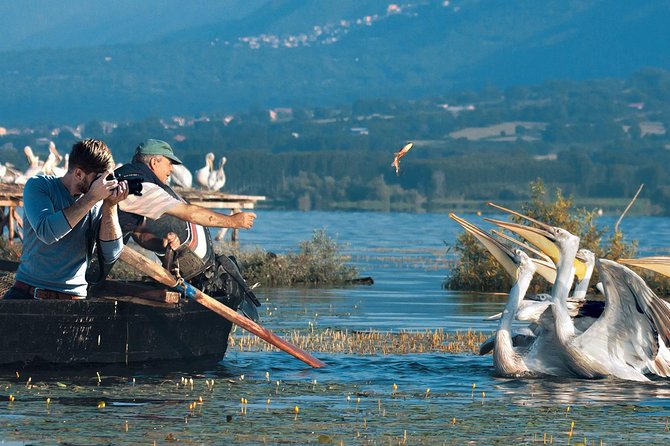 From Thessaloniki: Private Day Trip to Kerkini Lake - The morning departure from Thessaloniki
