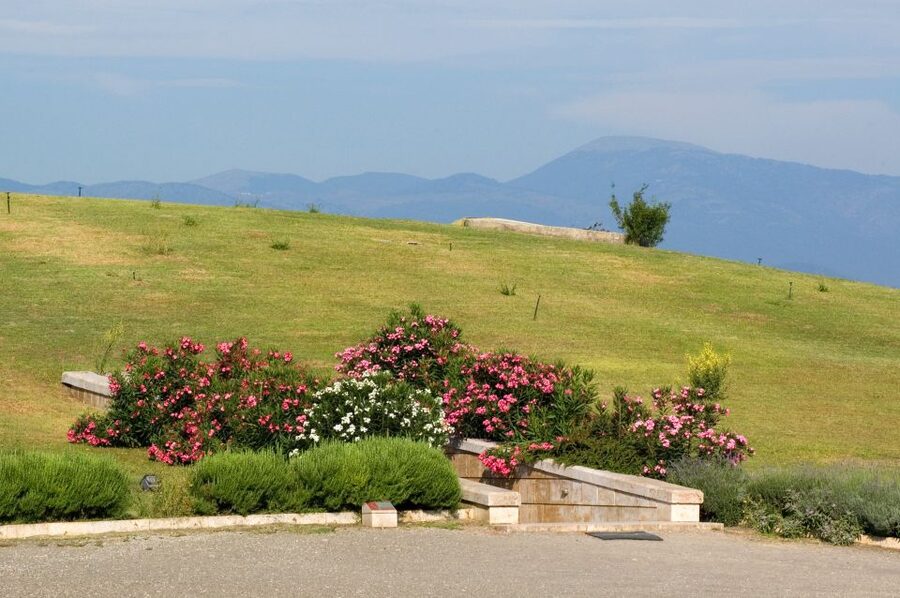 From Thessaloniki: Vergina & Veria Half-Day Tour - Who will enjoy this tour most