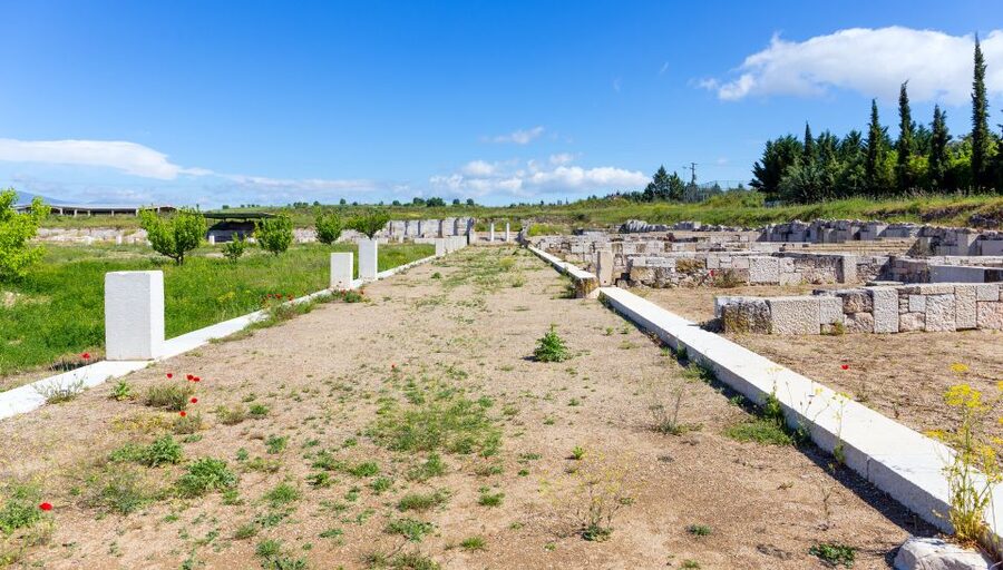 From Thessaloniki: Vergina & Veria Half-Day Tour - Practical advice for making the day better