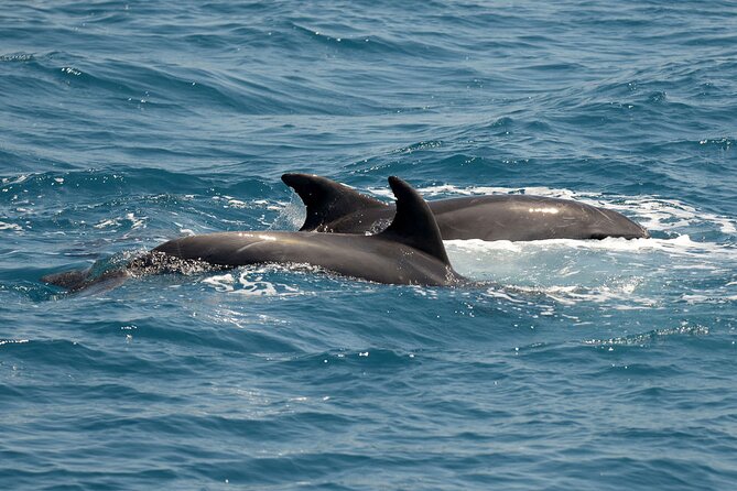 Full Day 3-Island Boat Cruise from Port of Kos - Who gets the most from this $36.28 trip