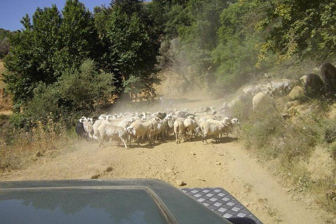 Full-Day Land Rover Safari from Heraklion with Lunch - Price, transport, and comfort