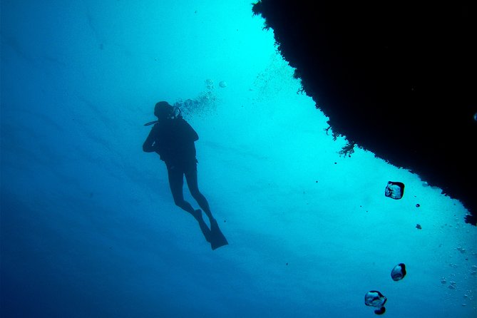 (Full day)Scuba Diving in Rhodes - A possible first step toward PADI certification