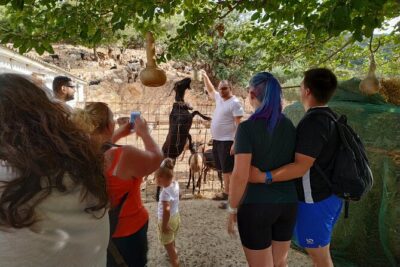 Full-Day Small-Group Tour in Crete with Zeus Cave Visit