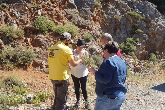 Full-Day Small-Group Tour in Crete with Zeus Cave Visit - The Zeus Cave question