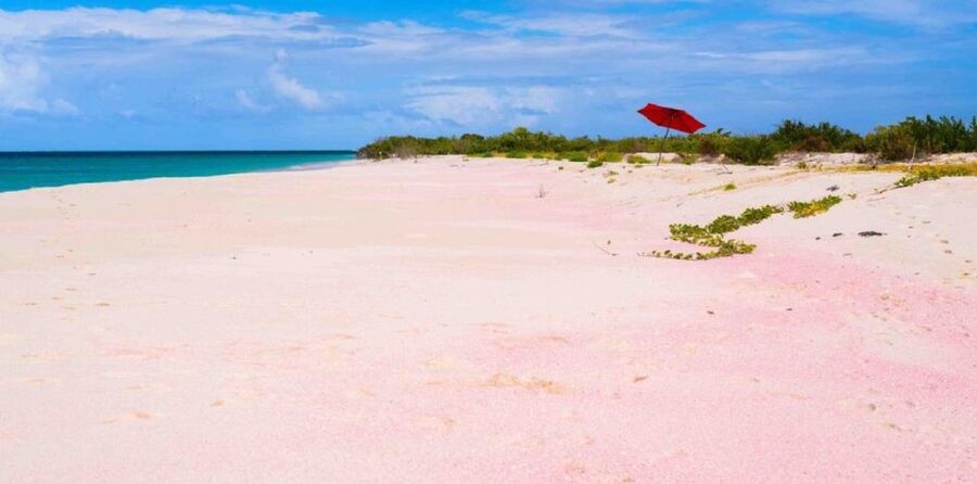 Georgioupolis Area: Full-Day Bus Trip to Elafonisi Island - Key points to know before you book