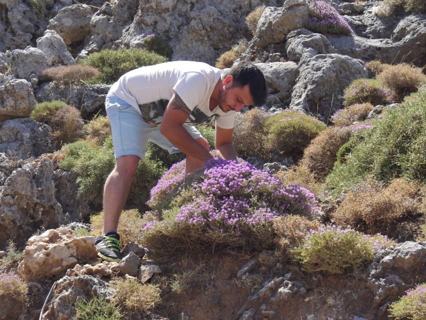 Georgioupolis Full-Day Land Rover Safari Experience - A Byzantine church and a taste of village life