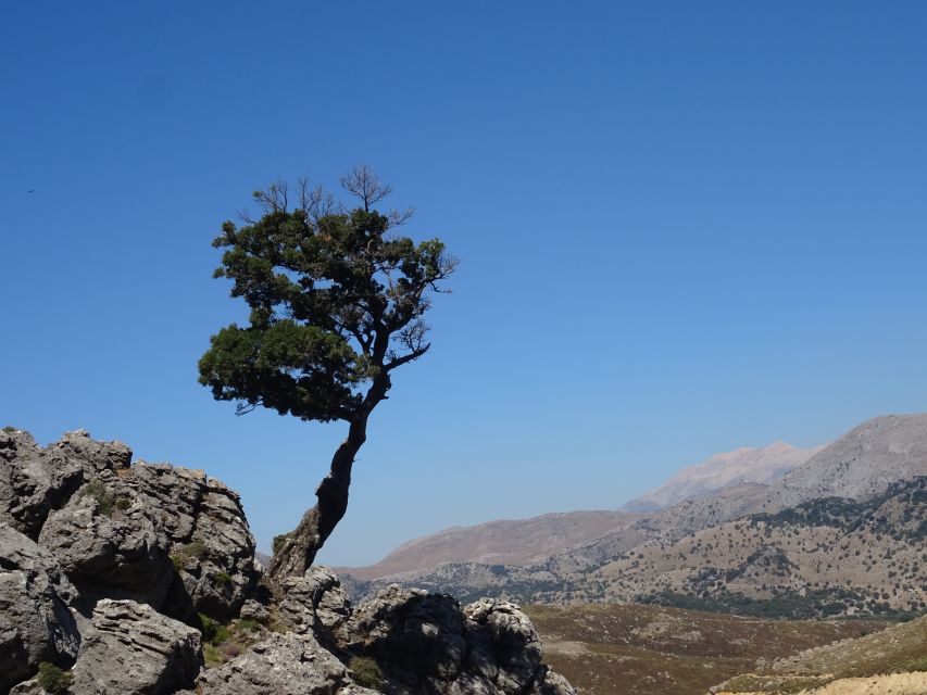 Georgioupolis Full-Day Land Rover Safari Experience - Guides make a noticeable difference