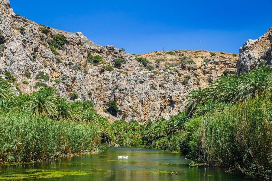 Georgioupolis: Preveli Palm Beach Day Trip by Bus and Boat - Two hours among palms, river, and sea