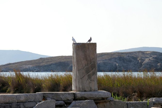 Half-Day Delos Tour from Mykonos - Entering the archaeological site
