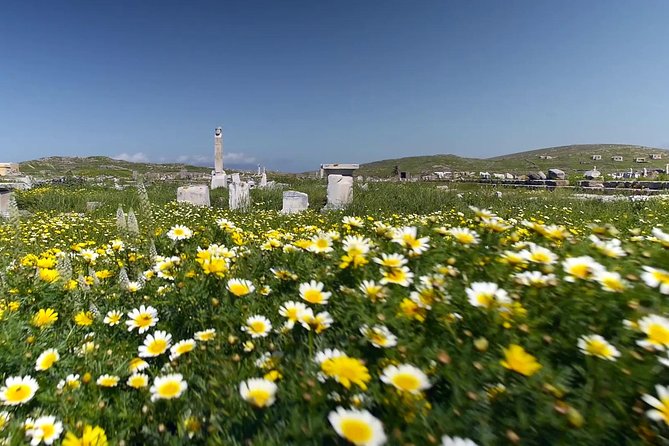 Half-Day Delos Tour from Mykonos - House of Dionysos and the Hellenistic City