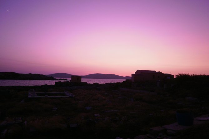 Half-Day Delos Tour from Mykonos - Sacred Lake and the marble lions